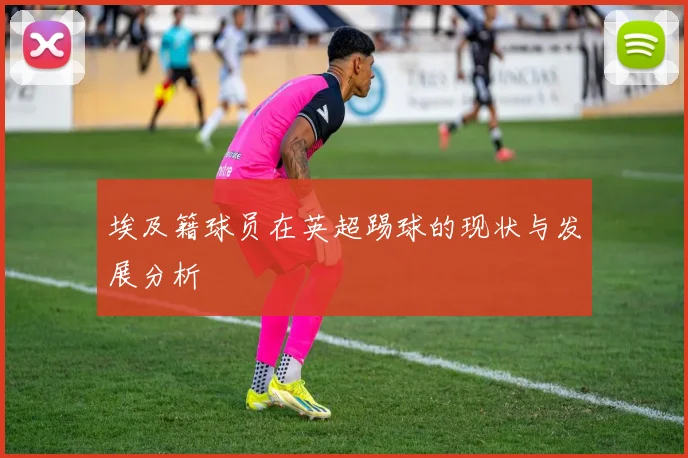 埃及籍球员在英超踢球的现状与发展分析